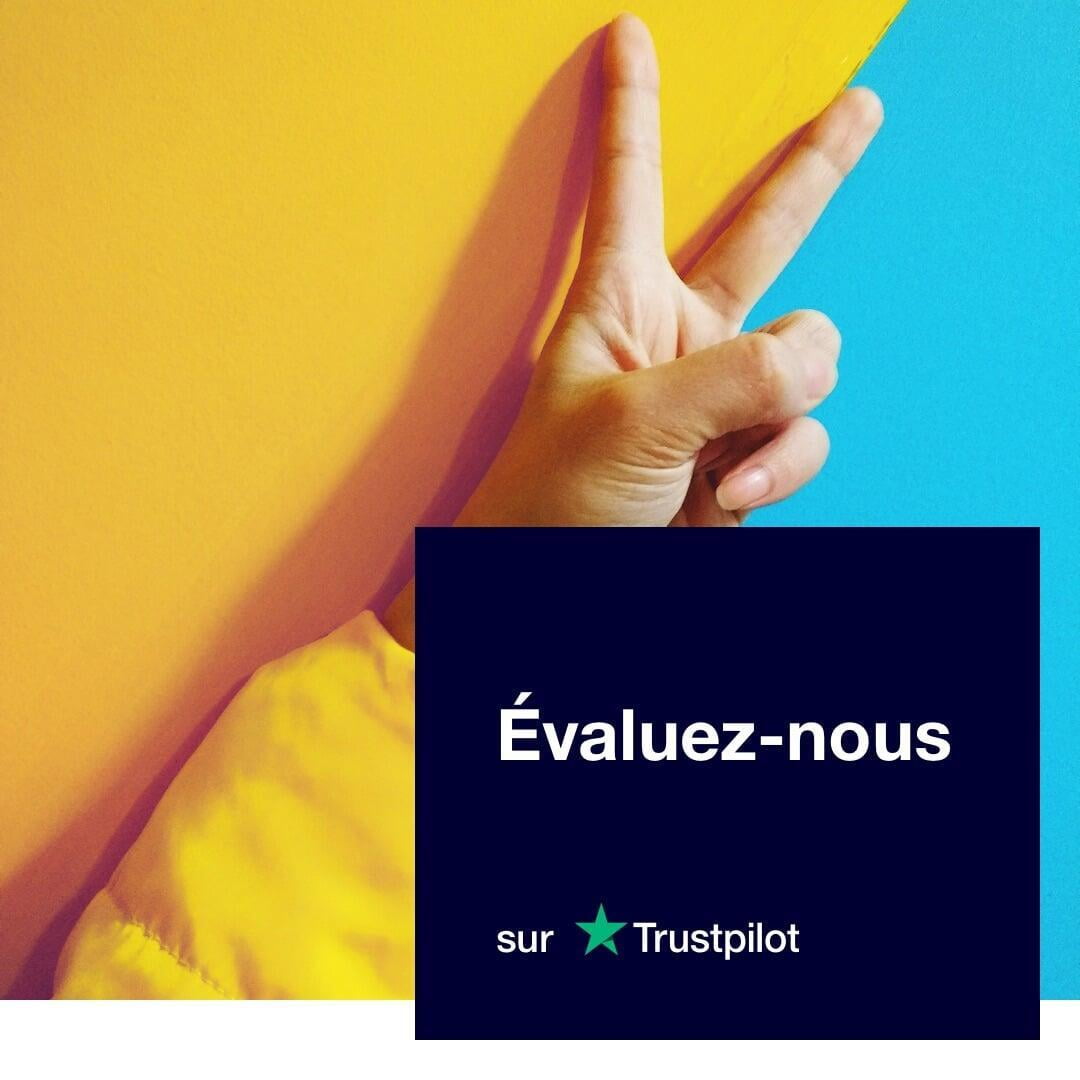 e-réputation